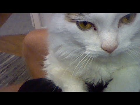 Watch Me Assemble ROKR's Marble Spaceport EPISODE 7 Step 12