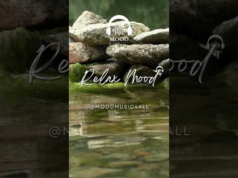Gentle Fingerpicking: A Soothing Guitar & Piano Experience