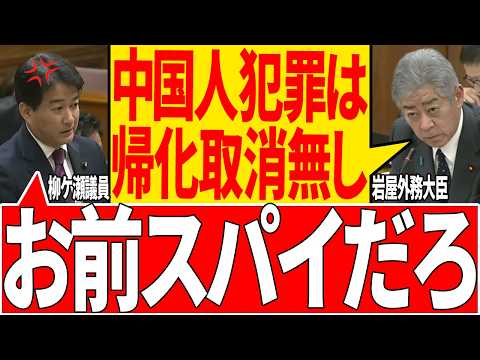 【親中岩屋】中国人が何をやっても犯罪にはならないそうです【国会/自民党/柳ケ瀬議員/岩屋外務大臣/石破茂/政治/切り抜き】