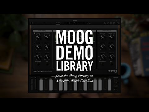 Mariana | Gain Staging Overview