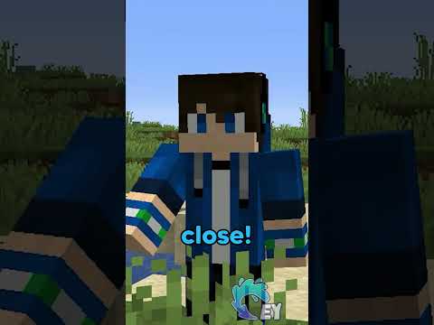 Minecraft, But It's 1000x Speed…