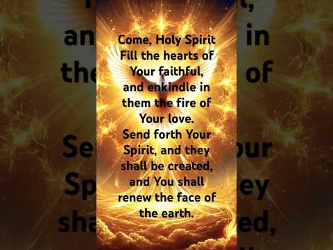 Come Holy Spirit! #catholicprayers #catholicprayer #catholicbelief #christian #christianity