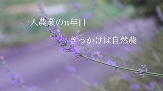 自給暮らしvlog|｜私が田舎暮らしを始めた理由｜畑で採れたの野菜で作る料理とケーキ｜＃39