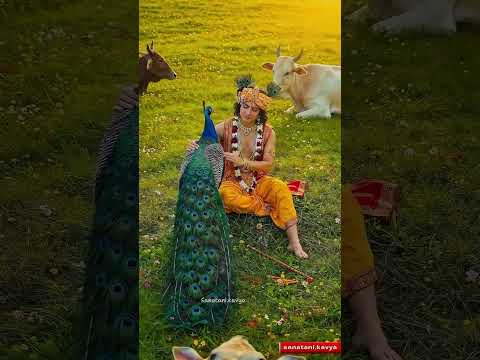 जग मैं सुंदर हैं दो नाम, चाहे कृष्ण कहो या राम, बोलो राम राम राम ! #krishna #ram #bhajan #radheradhe
