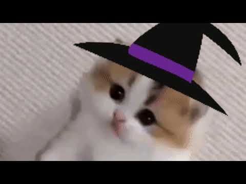 not so spooky halloween party 🎵