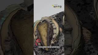 미소드림이 알려드리는 좋은 전복 고르는 팁
