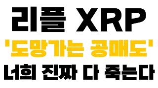 [리플 XRP 엑스알피] 긴급속보 '도망가는 공매도' 너희 진짜 다 죽는다