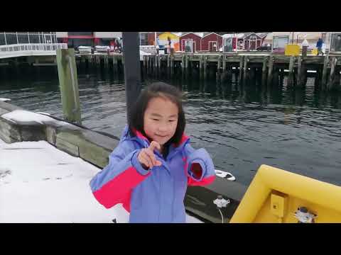 Halifax Waterfront | Today I am drawing on the snow | Like Subscribe & Share