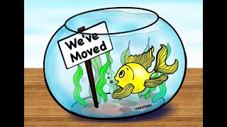WHEN CAN I PUT FISH IN A NEW DEEP SUBSTRATE AQUARIUM? - IMMEDIATELY!