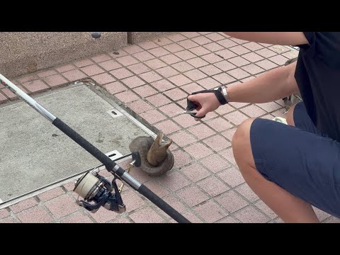 Fishing ｜ Pier ｜Central ｜Hong Kong