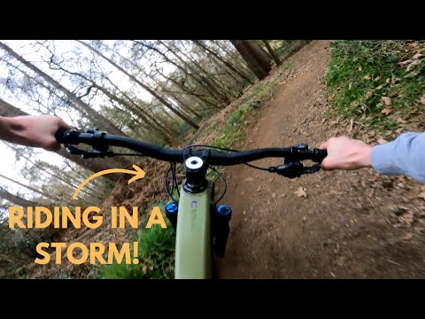 AVOIDING THE STORM AT BADBURY