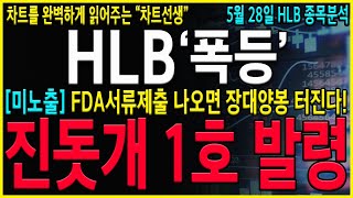 [HLB 에이치엘비] "긴급" FDA서류제출시 장대양봉 나올 수 밖에 없는 이유! 세력들은 다 계획이있고 계획대로 움직이고 있습니다!  #hlb목표가#hlb#hlb목표가#hlb주식