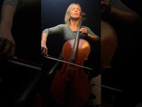 Ennio Morricone - Gabriel's Oboe #cello #music (The Mission) || by Maria Opera