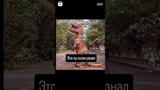 #shorts #shortsbhaiveersinghji #shortsclip #youtube #юмор #нулевые #приколы #песни #смех #ржач #mem