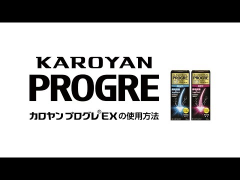 カロヤンプログレEXの使い方