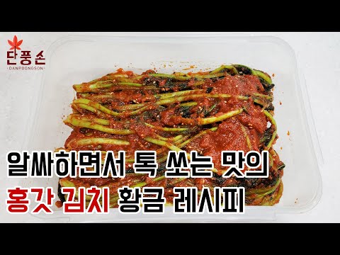[홍갓 김치] 알싸하면서 톡 쏘는 맛의 간결하고 깔끔한 갓김치 담그는 만드는 법 황금 레시피!