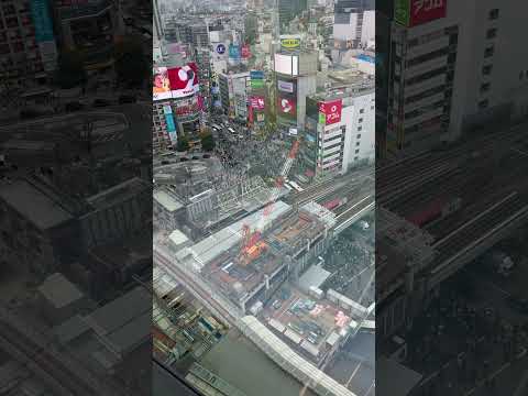The Famous Shibuya Scramble Crossing, Tokyo Japan, from the 17th Floor!