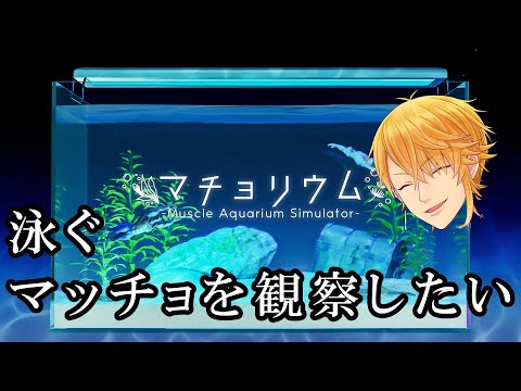 泳ぐマッチョを飼いたい【マチョリウム】