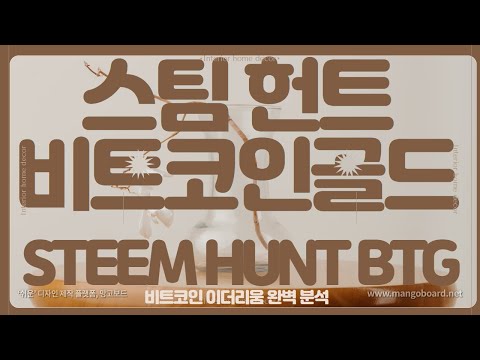 스팀 헌트 비트코인골드 STEEM HUNT BTG 분석