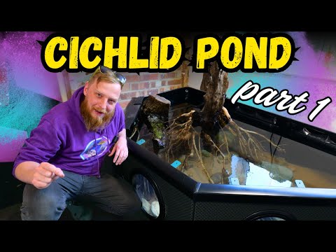 Building a CICHLID jungle POND in my garage! Part 1