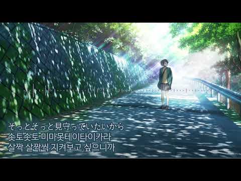 novelbright - また明日[가사/발음/자막]