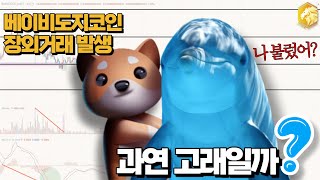 베이비도지코인 장외 거래 발생! 과연 고래일까? 【베이비도지코인 알아보기】