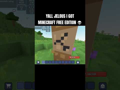 Discord Minecraft 💀(Bloxd Io) #minecraft #bloxdio