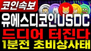 유에스디코인USDC _ 코인전망 드디어 터진다. 1월 20일 급등세 미리 축하드립니다. 이제부터 시작입니다. 유에스디코인USDC #유에스디코인USDC목표가 시세전망 호재