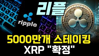 [ 리플코인 ] 5000만개 스테이킹 XRP 확정이다!