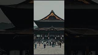 Temples in Japan#japantrip #japantravels #temples #takayama #kyoto #tokyo #japantemple #japantemples