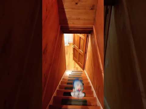 Cirno greets you