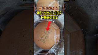 알고 고르세요! 계란 난각 번호의 의미와 등급 #계란 #지식