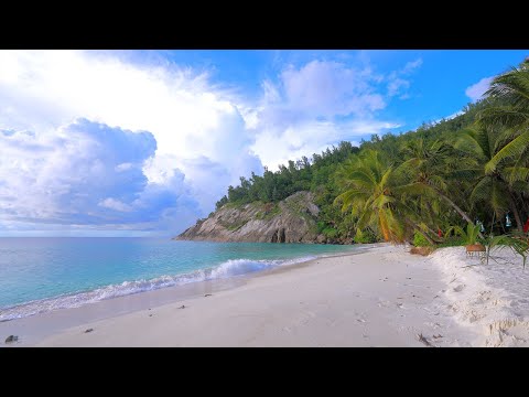 🏝 Seychelles 4K ULTRA HD! Turquoise Ocean Water and Wild Beach.