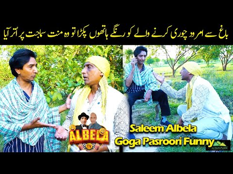 Goga Pasroori Amrood Chor | Saleem Albela nay Pakkar Lia Funny Video