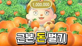 직접 농장 만들어서 과일로만 100만벨을 벌어보자!