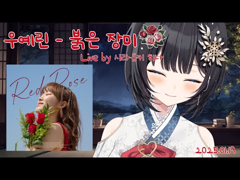 우예린 - 붉은 장미 ｜ Live Cover by 시라유키 히나