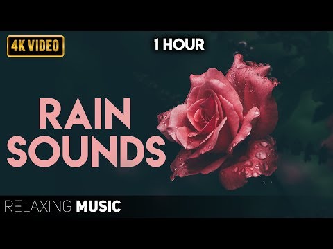 Relaxing Music with Rain Sounds | Calm Piano Music, Sleep Music | Rain Sounds For Sleeping