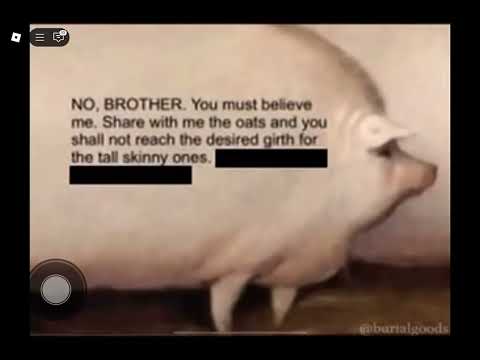 brother may I have some oats