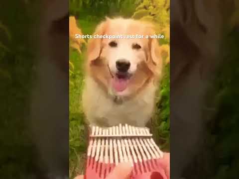 :)