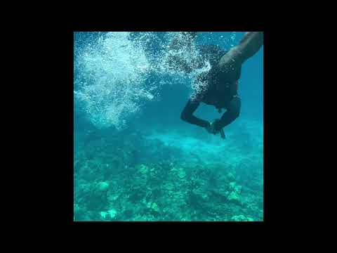 Spearfishing Is The Most Sustainable Way To Harvest Food (We Made Our Own Spearguns) - Roatan