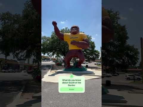 South of the Border #southoftheborder #southcarolina #landmarks #travelvlog