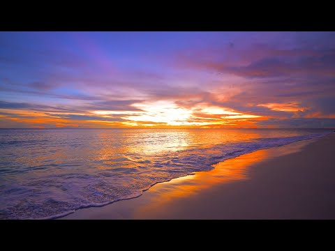🏝 Seychelles  & Ocean Waves 4K 60FPS Dolby Vision