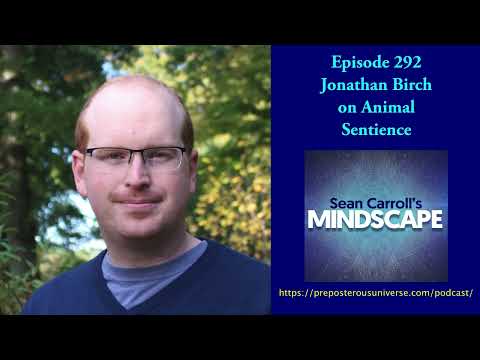 Mindscape 292 | Jonathan Birch on Animal Sentience