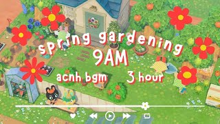 🌸 spring gardening in animal crossing 🌱 | study & focus music | ACNH BGM 🎧 3 hour