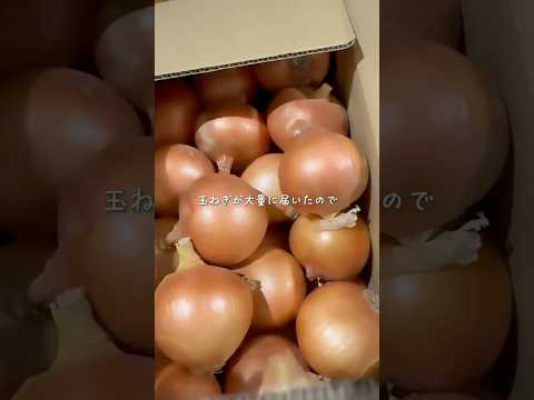 玉ねぎ大量消費🍳簡単レシピ3品