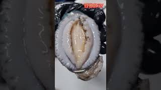 전복손질/전복회