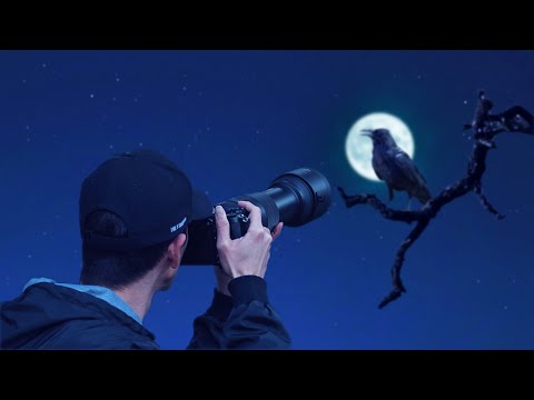 Photographing 10,000 Crows in the Middle of the Night