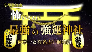 ※生半可ではない強運を授かる❗️【小網神社】小さな神社だが御礼参拝が後を絶たない ｜ Tokyo Koami Shrine.【※遠隔参拝】