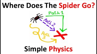 Distance VS Displacement (Physics)
