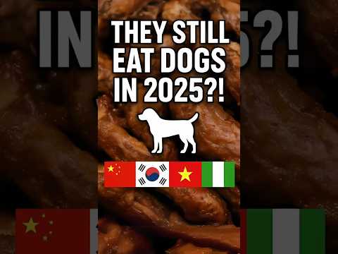 They Still Eat Dogs in 2025?! 😳 #shorts #crazyculture